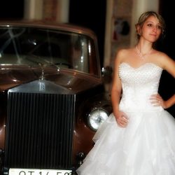 Pearl Wedding Show 7